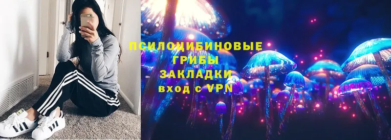 Галлюциногенные грибы Psilocybe  omg рабочий сайт  Мышкин 